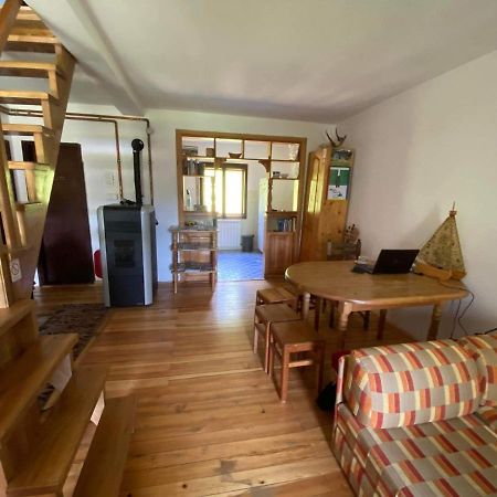 Mystic Forest Hostel Mitrovac Esterno foto
