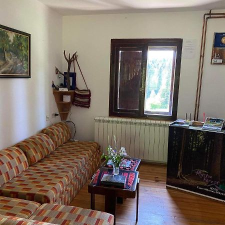 Mystic Forest Hostel Mitrovac Esterno foto