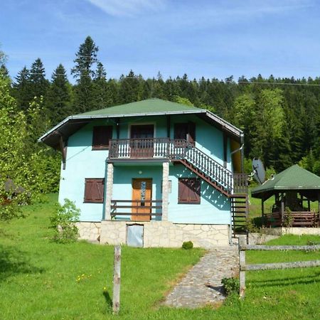 Mystic Forest Hostel Mitrovac Esterno foto