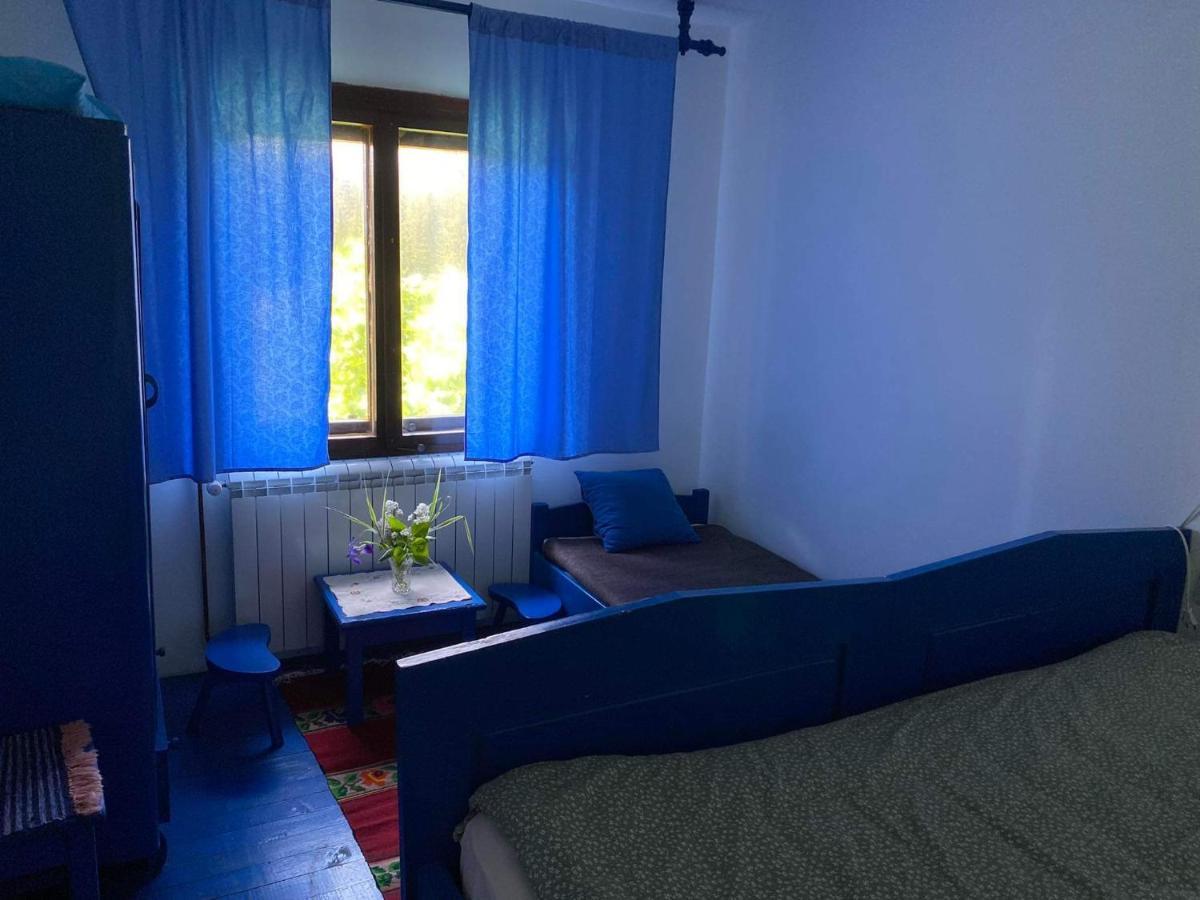 Mystic Forest Hostel Mitrovac Esterno foto