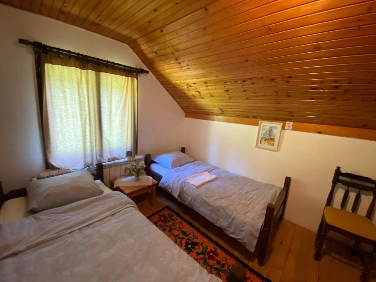 Mystic Forest Hostel Mitrovac Esterno foto