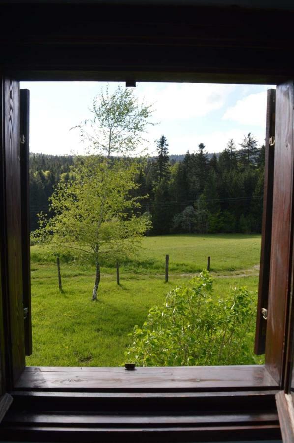 Mystic Forest Hostel Mitrovac Esterno foto
