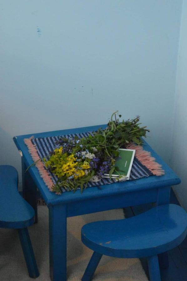 Mystic Forest Hostel Mitrovac Esterno foto