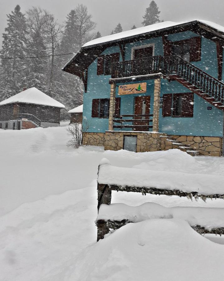 Mystic Forest Hostel Mitrovac Esterno foto